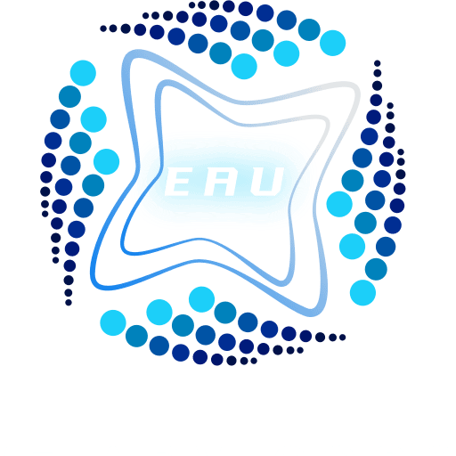 Executive Advisors USA 