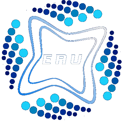 Executive Advisors USA 